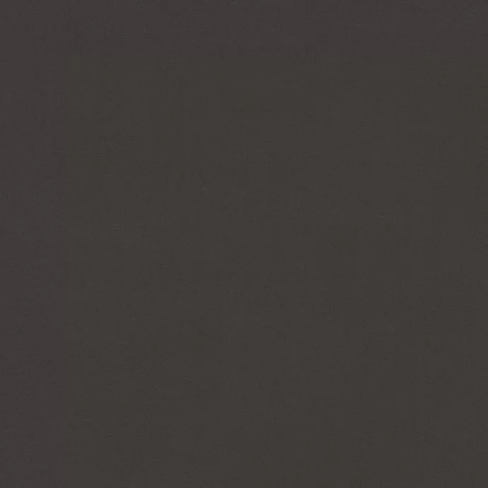 Charcoal Mono 2581